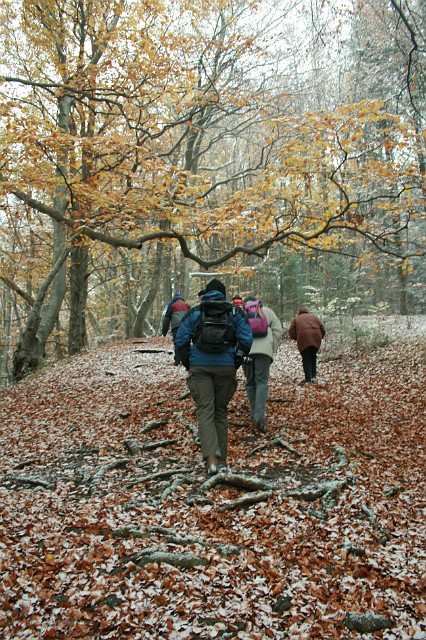 Raichberg 2007 Bild 03